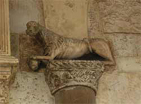 Il leone posto sul capitello vegetale ai piedi della facciata della Cattedrale